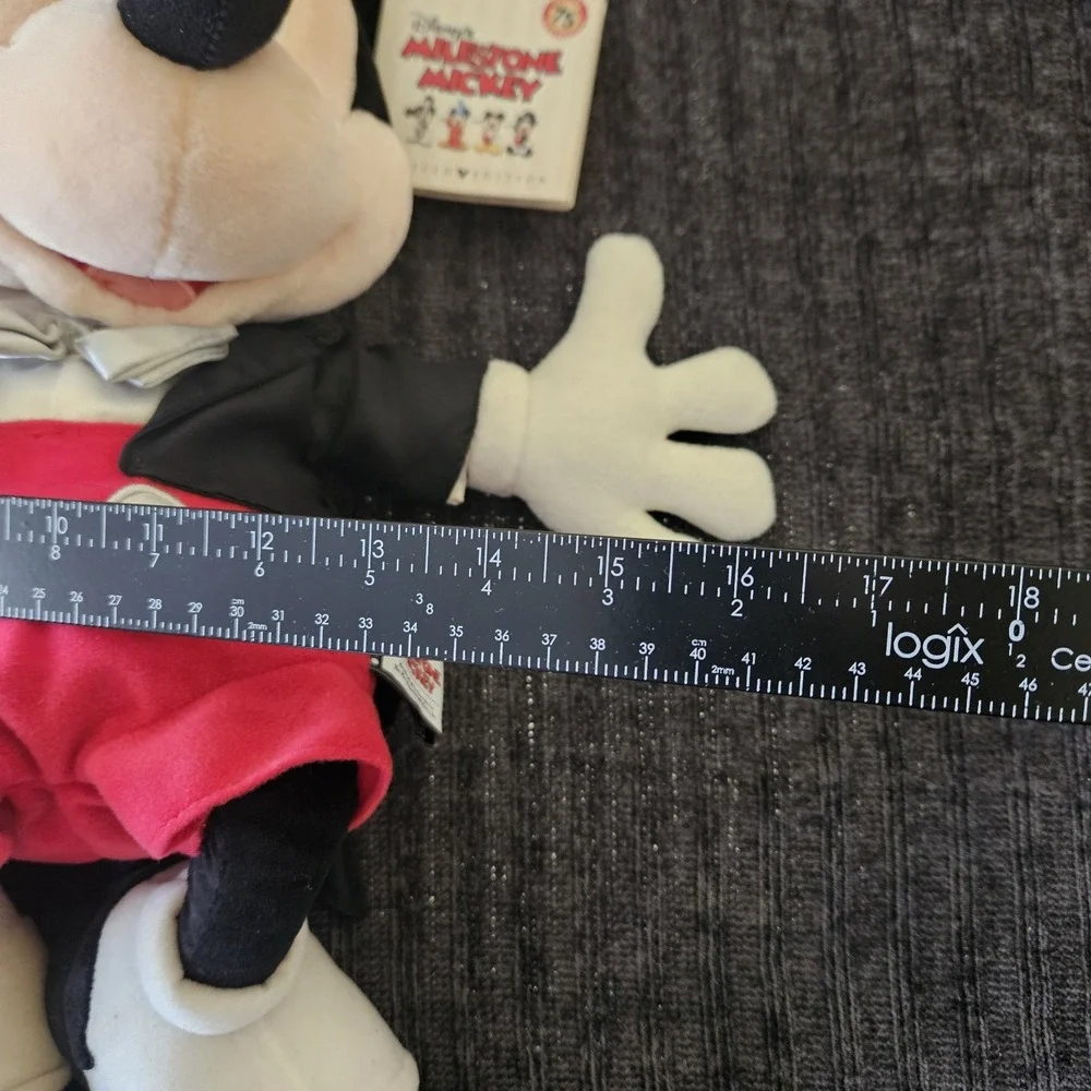 Disney Milestone 24